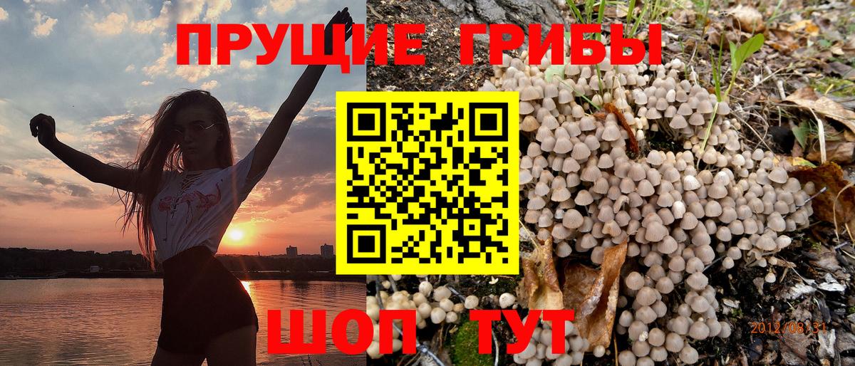 Галлюциногенные грибы Magic Shrooms Озёры