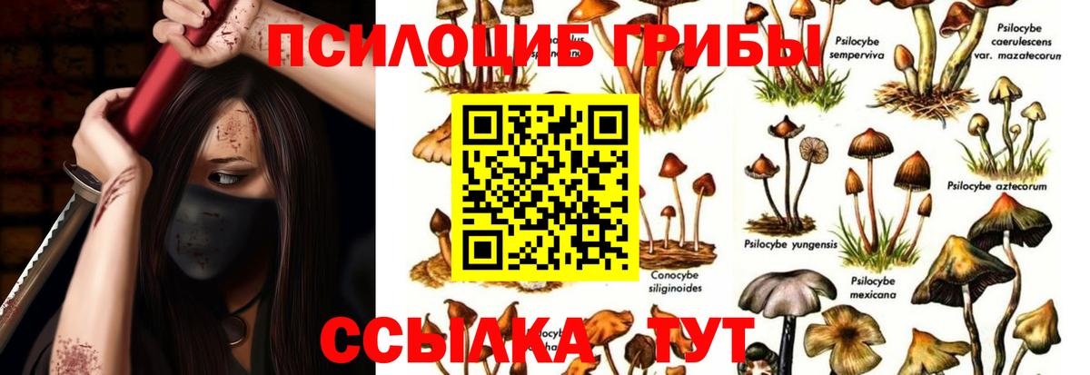 Озёры  Псилоцибиновые грибы Psilocybine cubensis  Псилоцибиновые грибы Magic Shrooms  Вход с VPN 